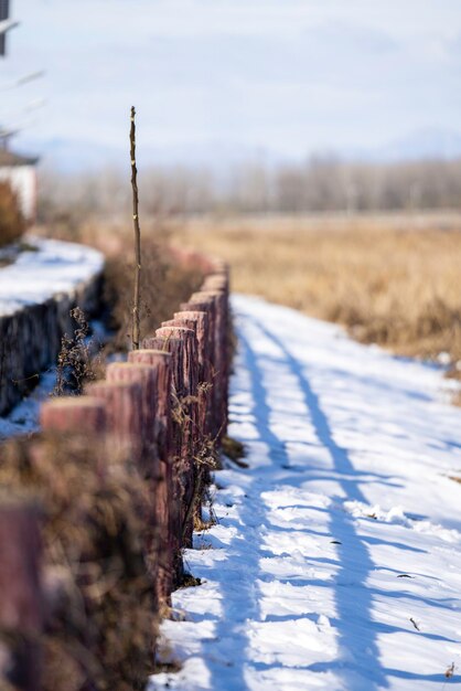 Foto uitzicht op houten palen op een met sneeuw bedekt veld