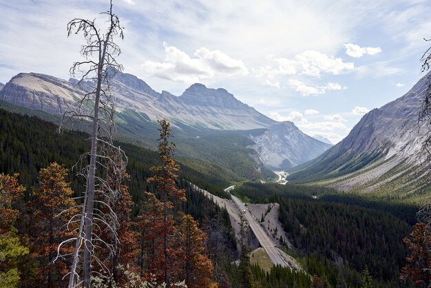 Uitzicht op Icefield Parkway in Canada