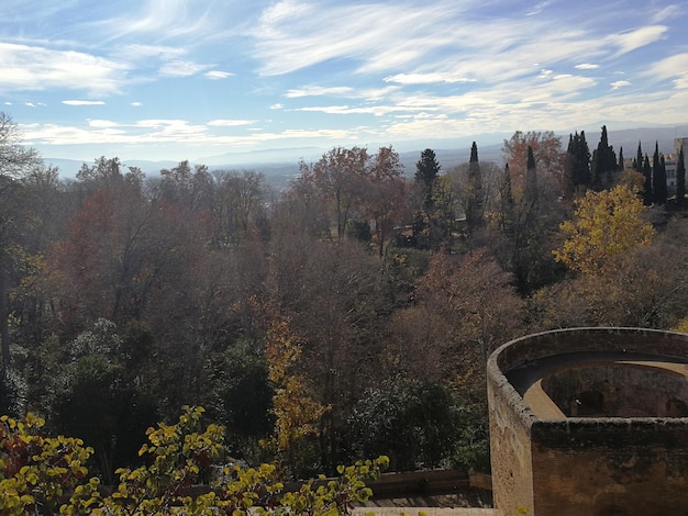 Uitzicht op kastelen en bomen in Alhambra