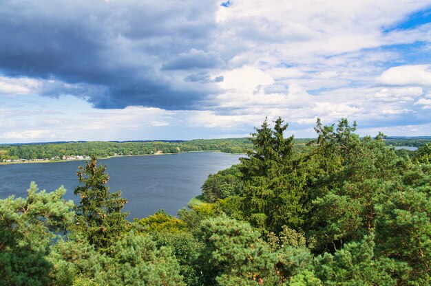 Uitzicht op Krakau am See Merenlandschap met dichte bossen aan de kust Vakantie