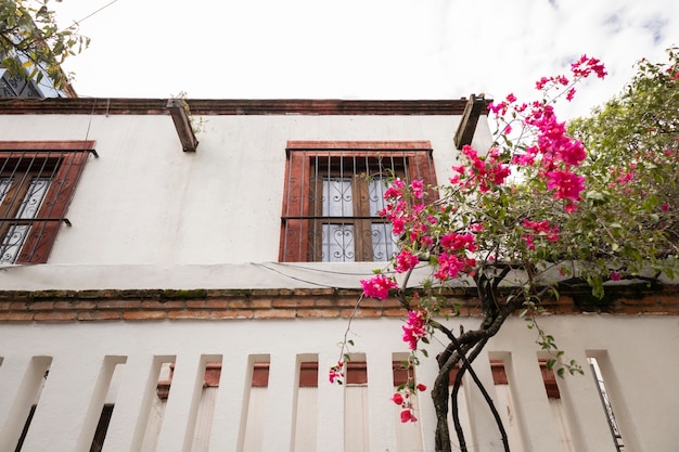 Foto uitzicht op mexicaanse stedelijke architectuur en cultuur