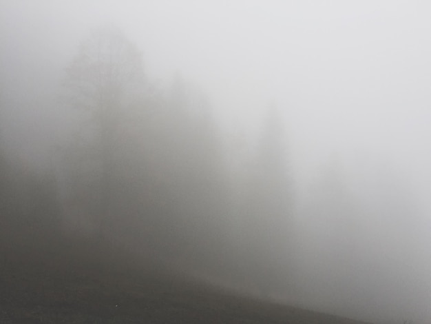 Foto uitzicht op mistig weer