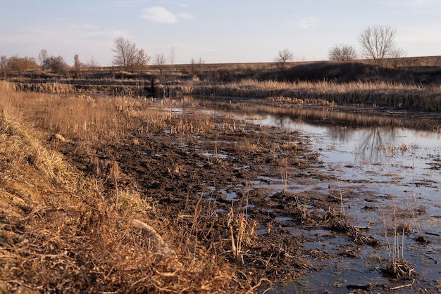 Uitzicht op moeras Vervuild rivierlandschap