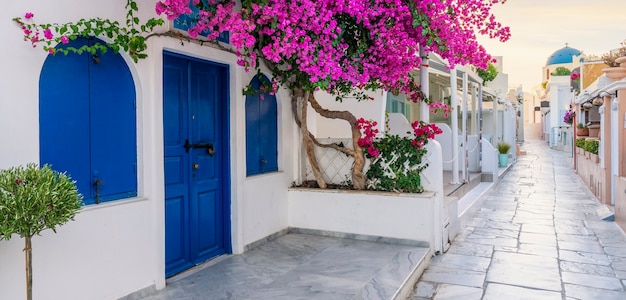 Uitzicht op Oia straat in de ochtend, Santorini, Griekenland