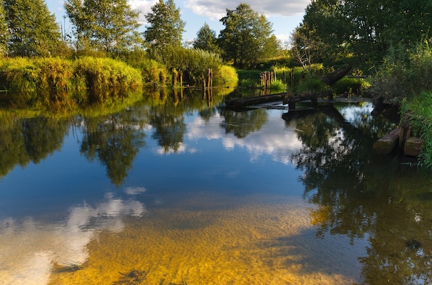 Uitzicht op oude gebroken brug over mooi bosmeer een zonnige dag