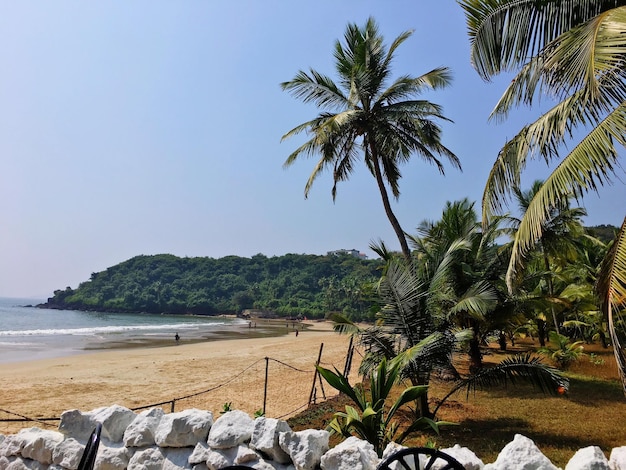 Foto uitzicht op palmbomen op een rustig strand