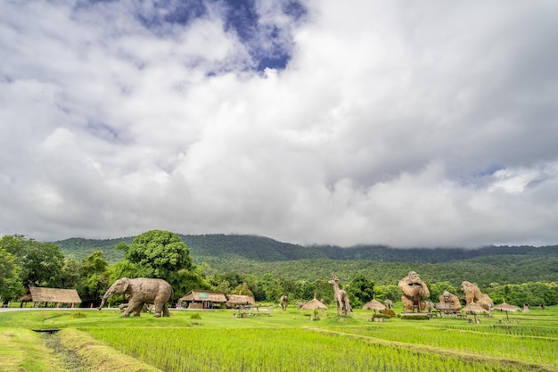 Uitzicht op populaire rijstvelden met door de mens gemaakte strodieren in het huay tung tao-park in chiang mai thailand