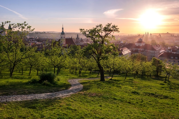Uitzicht op Praag vanuit de Petrin-tuin