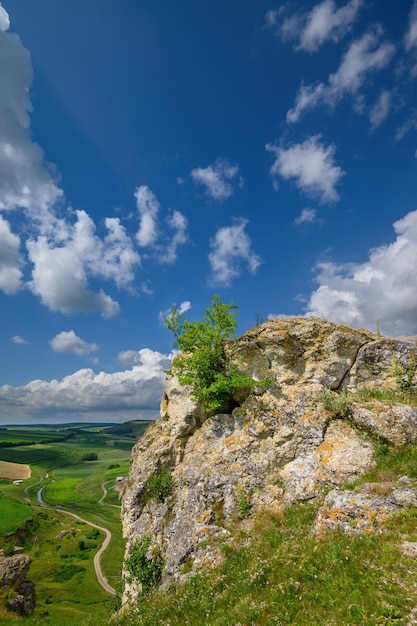 Uitzicht op restanten van kalksteenrotsen in het noorden van moldavië