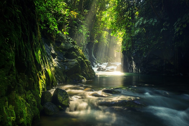 Uitzicht op rivierwater in de ochtend met zonlicht en groene bladeren in tropisch bos