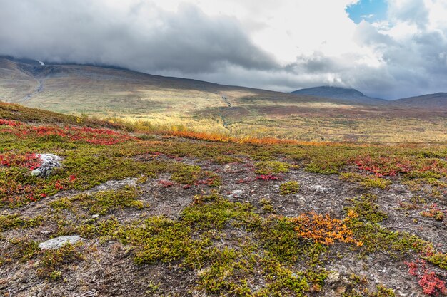 Uitzicht op Sarek National Park in de herfst, Zweden