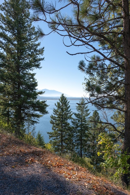 Uitzicht op Seeley Lake Missoula County in Montana door de bomen