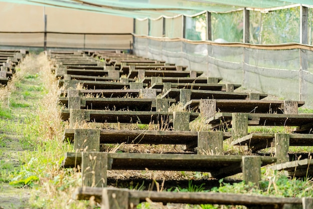 Uitzicht op stands met veel slakken op de boerderij