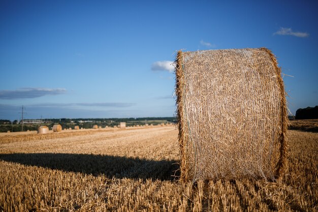 Uitzicht op stoppelweiden, valleien en een paar hooibalen. Gemaaid veld met hooi. Natuur in het dorp