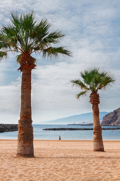 Uitzicht op strand Las Teresitas op zomerdag, eiland Tenerife, Canarias, Spanje