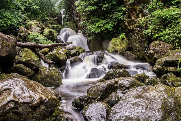 Uitzicht op stromend water