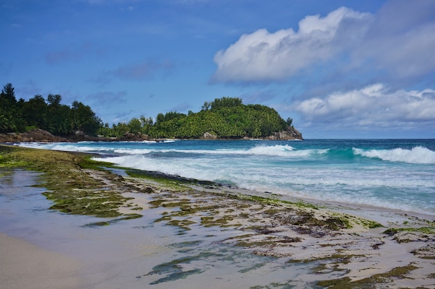 Uitzicht op tropisch dromerig strand Anse Bazarca, Mahe, Seychellen. Wit poederachtig zand, azuurblauw water, weelderig.