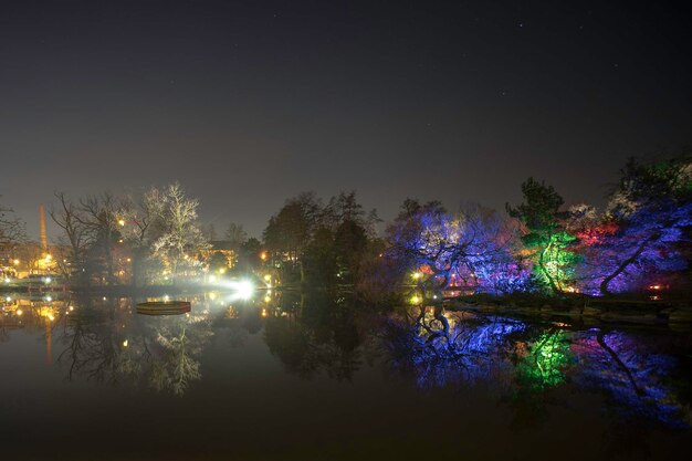 Uitzicht op verlichte bomen's nachts