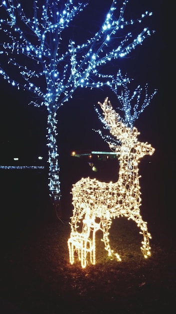 Foto uitzicht op verlichte lichten's nachts