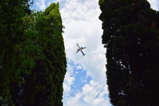 Foto uitzicht op vliegtuig in de lucht tussen bomen