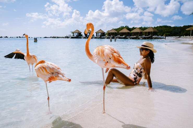 Foto uitzicht op vogels op het strand