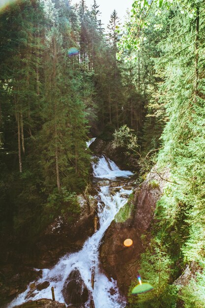 Uitzicht op waterval in bos