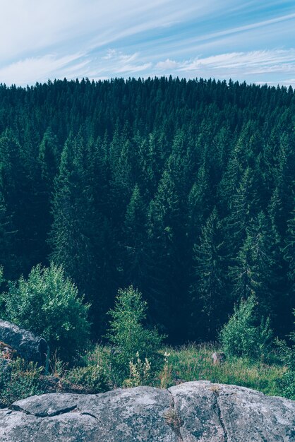 Uitzicht op wilde bossen en idyllisch uitzicht vanaf bergreizen met rust