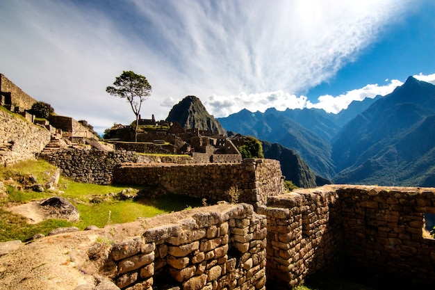 uitzicht op woonwijk in Machu Picchu en zijn eenzame boom Peru