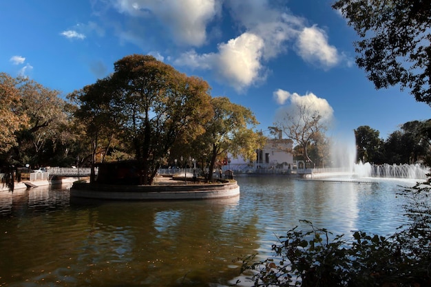 Uitzicht op Yildiz Park met herfstkleuren in Besiktas Istanbul Kalkoenen