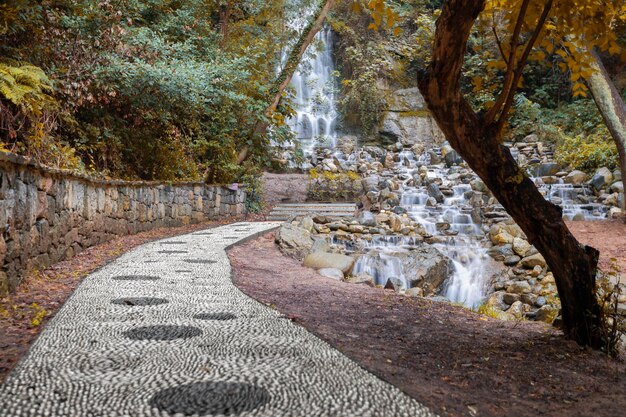 Uitzicht op Yildiz Park met herfstkleuren in Besiktas Istanbul Kalkoenen