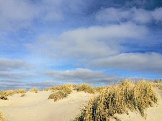 Uitzicht op zandduinen