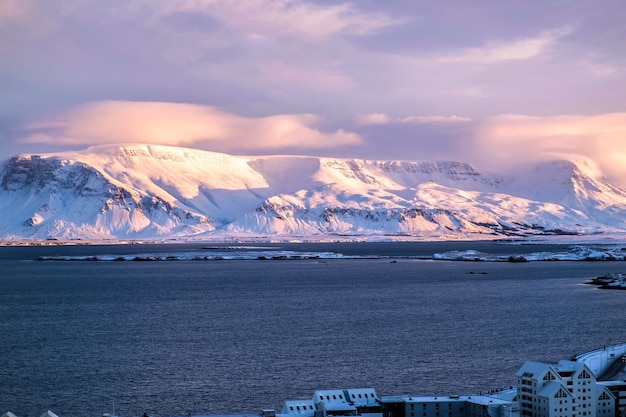 Uitzicht over Reykjavik vanaf de Hallgrimskirkja-kerk