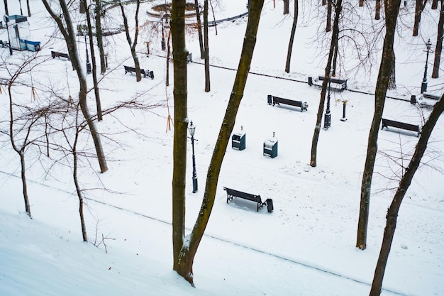 Uitzicht van bovenaf op banken in het besneeuwde stadspark omringd door bomen Boom Natuur Sneeuw Buiten Winterseizoen Hout Koud Woud Vorst Park Zonder mensen Weer North Woodland