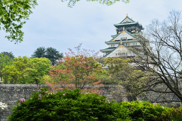 uitzicht vanaf afstand Osaka kasteel met prachtige natuur tegen blauwe lucht tijdens het lenteseizoen in japan