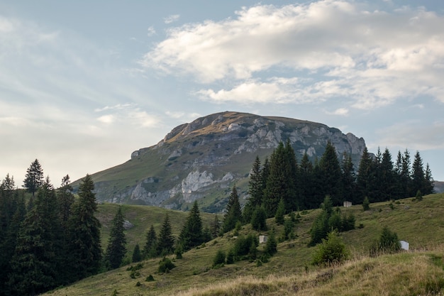 Uitzicht vanaf bucegi bergen, roemenië, bucegi national park