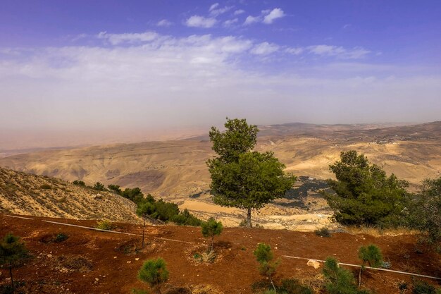 Uitzicht vanaf de berg Nebo in Jordanië, waar Mozes het Heilige Land heeft bekeken