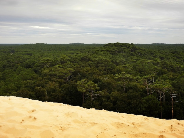 Uitzicht vanaf de Dune du Pilat