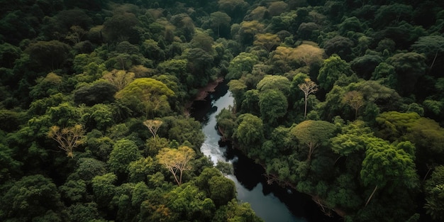 Uitzicht vanaf de hoogte van de rivier tussen het groene bos Luchtfoto Panoramische opname Generatieve AI