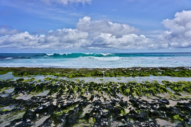 Uitzicht vanaf de kust vol met groene algen van Anse Bazarka in Mahé eiland, Seychellen.