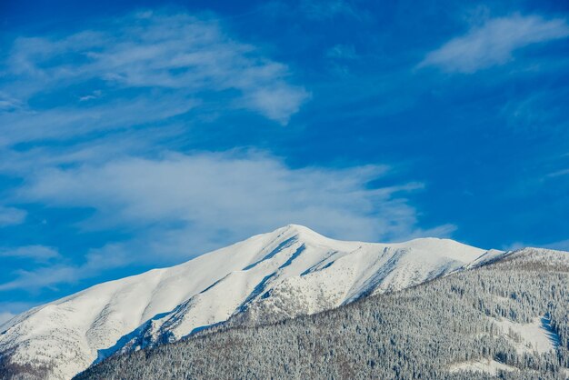 Uitzicht vanaf de stad Liptovsky Mikulas naar West Tatra in de winter met besneeuwde bomen en bewolkte lucht.