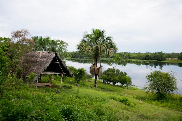 Uitzicht vanaf de straten en huizen in een stad in het Amazonegebied in Peru, dicht bij de stad Yurimaguas