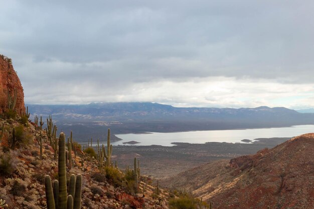 Uitzicht vanaf de top naar het meer in cactus- en woestijnlandschap