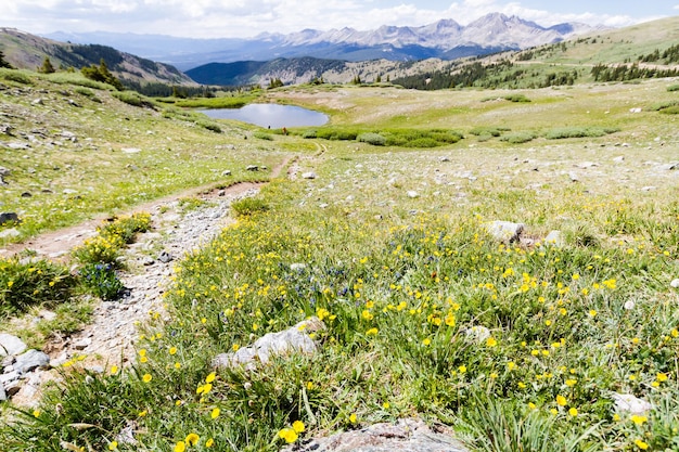 Uitzicht vanaf de top van Cottonwood Pass, Colorado.