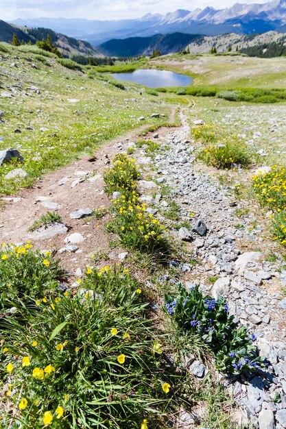 Uitzicht vanaf de top van Cottonwood Pass, Colorado.