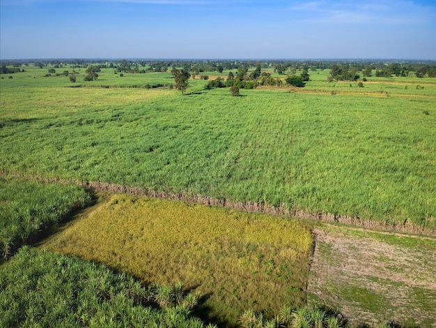 Uitzicht vanaf drone suikerriet veld met zonsondergang hemel natuur landschap achtergrond.