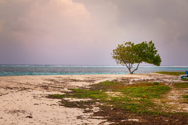 Uitzicht vanaf Maafushi eiland op Kaafu Atoll in Maldiven.