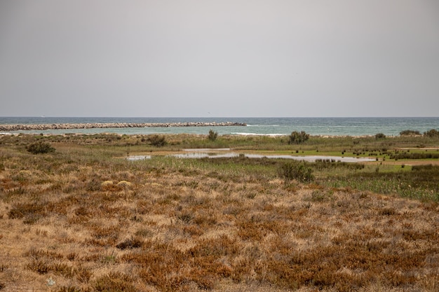 Uitzicht vanaf Mirador de la Desembocadura, Delta del Llobreat, El Prat, Catalonië, Spanje