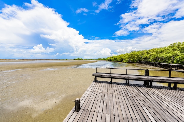 Uitzicht vanaf natuurleerpad, gemaakt van hout, en loop door het bos van Ceriops-tagal in de mangrove