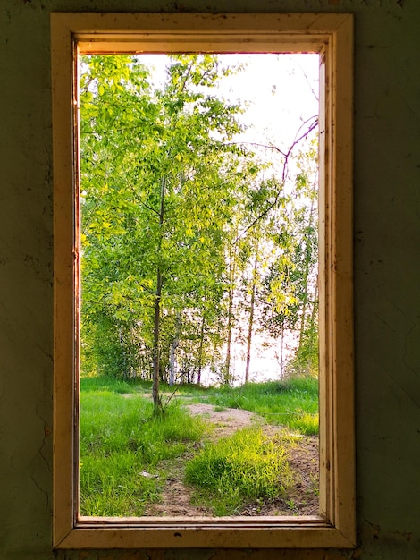 Uitzicht vanuit het raam naar het bos