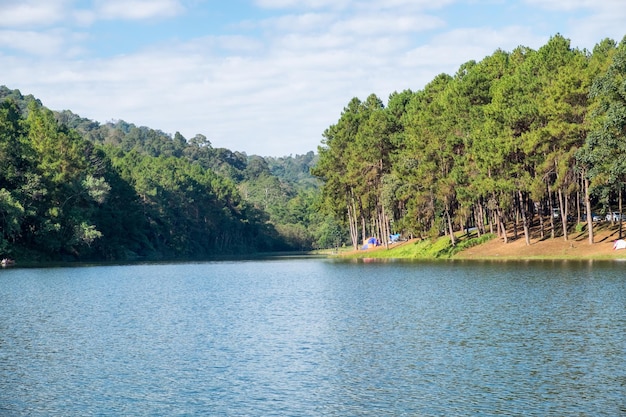 Uitzichtpuntreservoir met dennenbos in zonnig bij pang oung